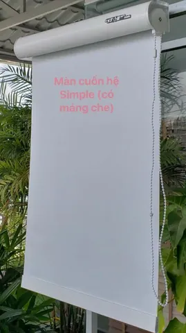 Chiêm Ngưỡng Hình Ảnh Rèm Cuốn Đẹp, In Tranh 3d Và Trơn Cho Phòng Khách, Phòng Ngủ Chiêm Ngưỡng Hình Ảnh Rèm Cuốn Đẹp, In Tranh 3d Và Trơn Cho Phòng Khách, Phòng Ngủ