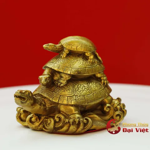 Xem Và Tải Hình Ảnh Rùa Đồng Đẹp, Chuẩn Nhất Dành Cho Người Yêu Phong Thủy Và Bảo Tồn Xem Và Tải Hình Ảnh Rùa Đồng Đẹp, Chuẩn Nhất Dành Cho Người Yêu Phong Thủy Và Bảo Tồn