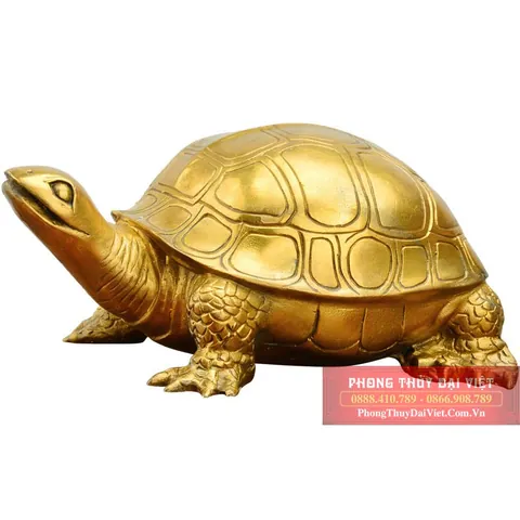 Xem Và Tải Hình Ảnh Rùa Đồng Đẹp, Chuẩn Nhất Dành Cho Người Yêu Phong Thủy Và Bảo Tồn Xem Và Tải Hình Ảnh Rùa Đồng Đẹp, Chuẩn Nhất Dành Cho Người Yêu Phong Thủy Và Bảo Tồn