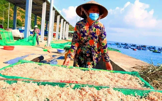 Xem Hình Ảnh Ruốc Khô Thực Tế Từ Quảng Ngãi, Bình Định, Huế Cho Người Mua Đặc Sản Xem Hình Ảnh Ruốc Khô Thực Tế Từ Quảng Ngãi, Bình Định, Huế Cho Người Mua Đặc Sản