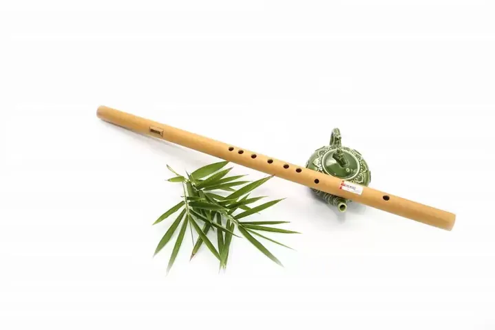 Tải Xuống Hình Ảnh Chim Sáo Đẹp: Từ Sáo Đá, Sáo Nâu Đến Các Loài Sáo Cảnh Cho Người Yêu Chim Tải Xuống Hình Ảnh Chim Sáo Đẹp: Từ Sáo Đá, Sáo Nâu Đến Các Loài Sáo Cảnh Cho Người Yêu Chim