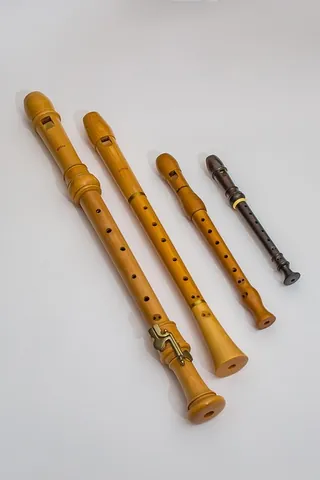 Tải Xuống Hình Ảnh Chim Sáo Đẹp: Từ Sáo Đá, Sáo Nâu Đến Các Loài Sáo Cảnh Cho Người Yêu Chim Tải Xuống Hình Ảnh Chim Sáo Đẹp: Từ Sáo Đá, Sáo Nâu Đến Các Loài Sáo Cảnh Cho Người Yêu Chim