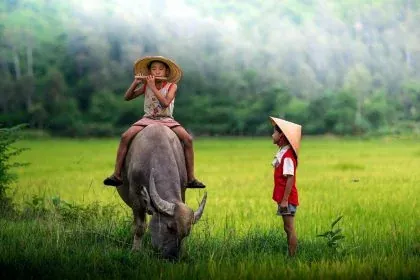 Tải Xuống Hình Ảnh Chim Sáo Đẹp: Từ Sáo Đá, Sáo Nâu Đến Các Loài Sáo Cảnh Cho Người Yêu Chim Tải Xuống Hình Ảnh Chim Sáo Đẹp: Từ Sáo Đá, Sáo Nâu Đến Các Loài Sáo Cảnh Cho Người Yêu Chim