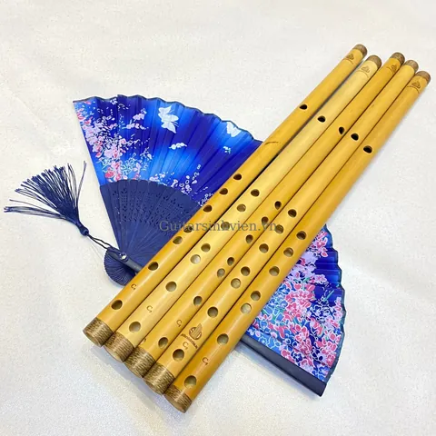 Tải Xuống Hình Ảnh Chim Sáo Đẹp: Từ Sáo Đá, Sáo Nâu Đến Các Loài Sáo Cảnh Cho Người Yêu Chim Tải Xuống Hình Ảnh Chim Sáo Đẹp: Từ Sáo Đá, Sáo Nâu Đến Các Loài Sáo Cảnh Cho Người Yêu Chim