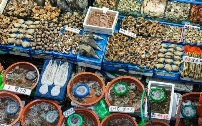 Tải Xuống Hình Ảnh Sashimi Các Loại Cá (cá Hồi, Cá Ngừ) Cho Người Yêu Ẩm Thực Nhật Bản