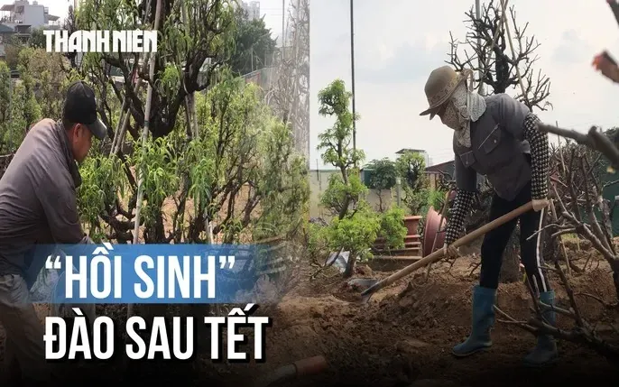 Top 99+ Hình Ảnh Sau Tết Đẹp, Ý Nghĩa: Tâm Trạng, Chia Sẻ & Sưu Tầm Chất Lượng Cao Top 99+ Hình Ảnh Sau Tết Đẹp, Ý Nghĩa: Tâm Trạng, Chia Sẻ & Sưu Tầm Chất Lượng Cao
