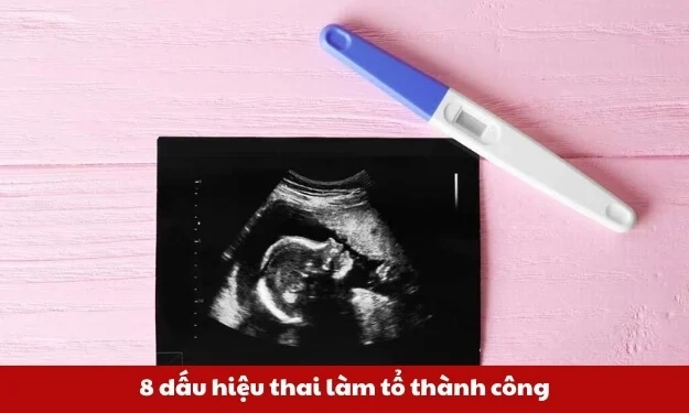 Hình Ảnh Siêu Âm Thai Mới Vào Tử Cung: Khi Nào Và Như Thế Nào Để Nhìn Thấy Phôi Thai? (dành Cho Mẹ Bầu Mới Mang Thai)