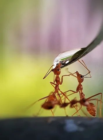 Khám Phá Hình Ảnh Sông Ấn: Tổng Hợp Ảnh Và So Sánh Với Sông Hằng Cho Người Yêu Du Lịch