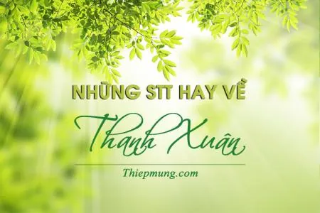 Tổng Hợp Hình Ảnh Status Hay Kèm Caption Độc Đáo Giúp Bạn Đăng Ảnh Câu Like Triệu View