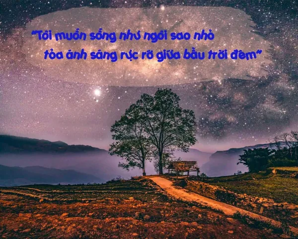 Tổng Hợp Hình Ảnh Status Hay Kèm Caption Độc Đáo Giúp Bạn Đăng Ảnh Câu Like Triệu View