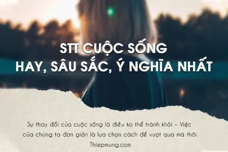 Tổng Hợp Hình Ảnh Status Hay Kèm Caption Độc Đáo Giúp Bạn Đăng Ảnh Câu Like Triệu View