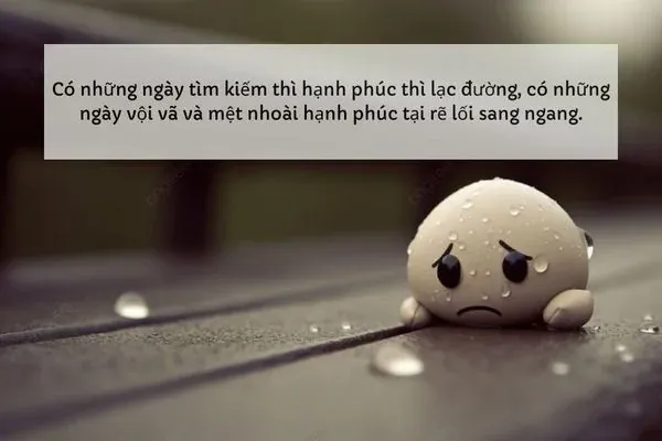 Tổng Hợp Hình Ảnh Status Hay Kèm Caption Độc Đáo Giúp Bạn Đăng Ảnh Câu Like Triệu View