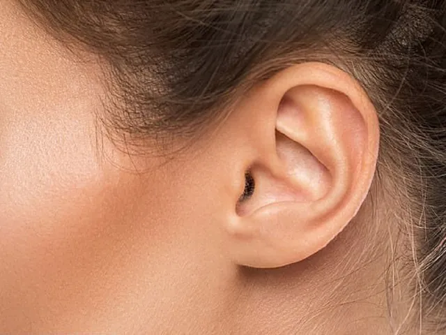 Khám Phá Hình Ảnh Tai Người: Cấu Tạo, Chức Năng Và Ý Nghĩa Tướng Số Cho Bạn Đọc Quan Tâm Khám Phá Hình Ảnh Tai Người: Cấu Tạo, Chức Năng Và Ý Nghĩa Tướng Số Cho Bạn Đọc Quan Tâm