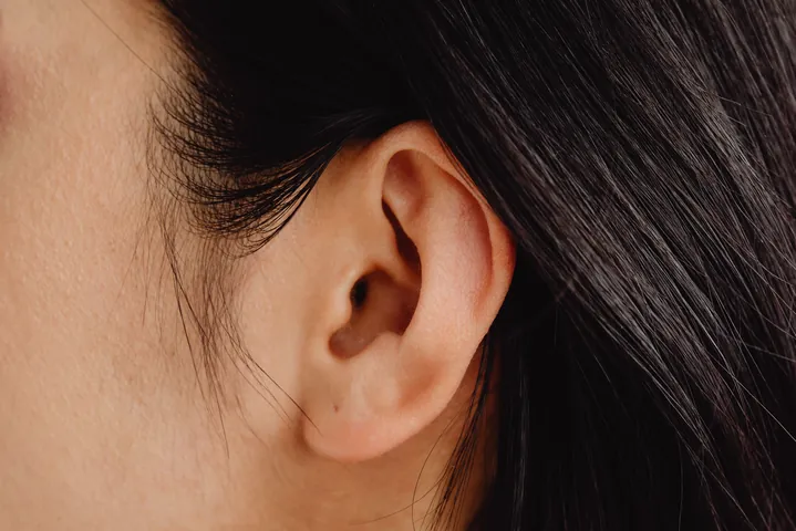 Khám Phá Hình Ảnh Tai Người: Cấu Tạo, Chức Năng Và Ý Nghĩa Tướng Số Cho Bạn Đọc Quan Tâm Khám Phá Hình Ảnh Tai Người: Cấu Tạo, Chức Năng Và Ý Nghĩa Tướng Số Cho Bạn Đọc Quan Tâm