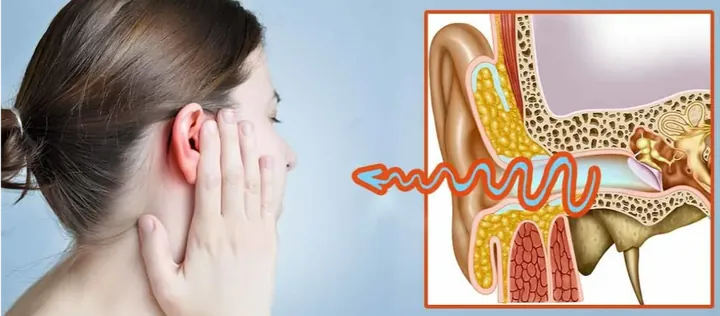Khám Phá Hình Ảnh Tai Người: Cấu Tạo, Chức Năng Và Ý Nghĩa Tướng Số Cho Bạn Đọc Quan Tâm Khám Phá Hình Ảnh Tai Người: Cấu Tạo, Chức Năng Và Ý Nghĩa Tướng Số Cho Bạn Đọc Quan Tâm