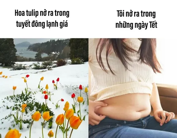 Xem & Tải Hình Ảnh Tăng Cân Thực Tế Cho Người Gầy Muốn Tăng Cân An Toàn Xem & Tải Hình Ảnh Tăng Cân Thực Tế Cho Người Gầy Muốn Tăng Cân An Toàn