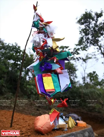 Chiêm Ngưỡng Hình Ảnh Tảo Mộ Đầy Ý Nghĩa Của Người Việt Và So Sánh Với Lễ Tảo Mộ Nước Láng Giềng