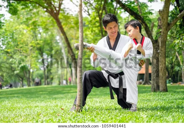 Tải Miễn Phí Hình Ảnh Tập Võ Đa Dạng Bộ Môn Cho Người Sáng Tạo Nội Dung
