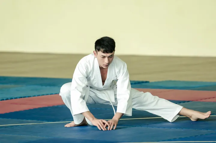 Tải Miễn Phí Hình Ảnh Tập Võ Đa Dạng Bộ Môn Cho Người Sáng Tạo Nội Dung