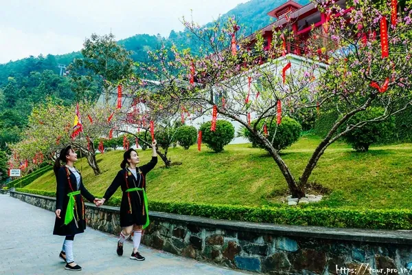 Chiêm Ngưỡng Bộ Hình Ảnh Tây Thiên Tam Đảo: Thiền Viện Trúc Lâm Và Danh Thắng Tâm Linh Cho Người Yêu Du Lịch Việt
