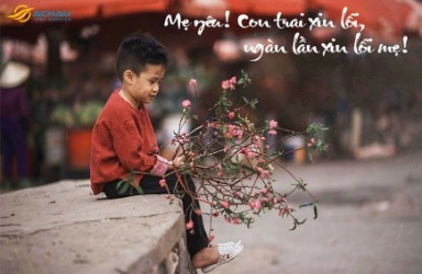 Tải Ngay “hình Ảnh Tết Này Con Không Về” – Bộ Sưu Tập Miễn Phí Dành Cho Người Đọc Và Nhà Thiết Kế Tải Ngay “hình Ảnh Tết Này Con Không Về” – Bộ Sưu Tập Miễn Phí Dành Cho Người Đọc Và Nhà Thiết Kế