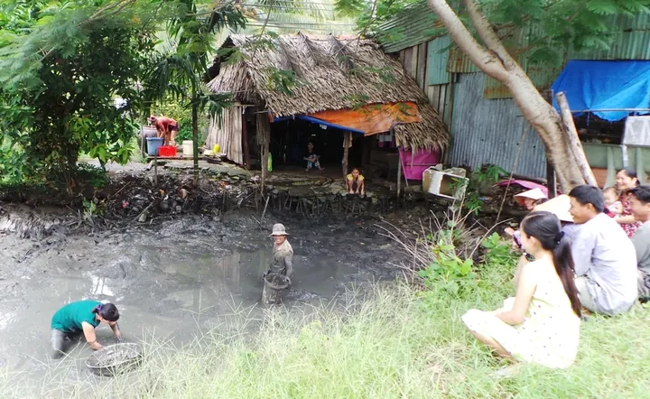 Tải Hình Ảnh Tết Tây Đẹp, Ý Nghĩa Miễn Phí Cho Thiết Kế Và Mạng Xã Hội Tải Hình Ảnh Tết Tây Đẹp, Ý Nghĩa Miễn Phí Cho Thiết Kế Và Mạng Xã Hội