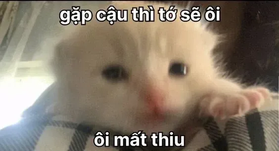 Tổng Hợp Hình Ảnh Thả Thính Dễ Thương Cho Gen Z Chinh Phục Crush