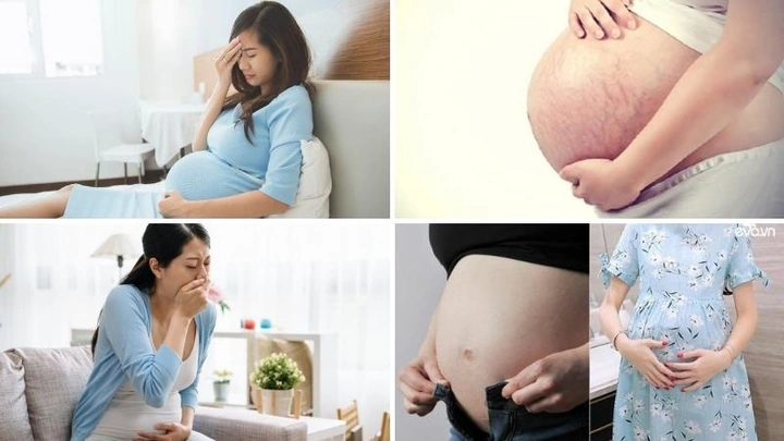 Hình Ảnh Thai Nhi 10 Tuần Trong Bụng Mẹ: Đánh Giá Sự Phát Triển, Dấu Hiệu Khỏe Mạnh & Cách Kiểm Tra Đúng Cách Cho Mẹ Bầu
