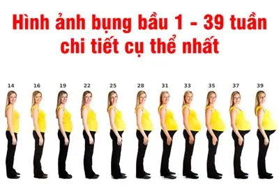 Hình Ảnh Thai Nhi 10 Tuần Trong Bụng Mẹ: Đánh Giá Sự Phát Triển, Dấu Hiệu Khỏe Mạnh & Cách Kiểm Tra Đúng Cách Cho Mẹ Bầu