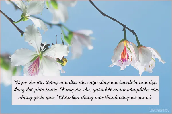 Tải Hình Ảnh Tháng 3 Đẹp Nhất Kèm Ảnh Bìa Facebook Cho Người Dùng Mạng Xã Hội