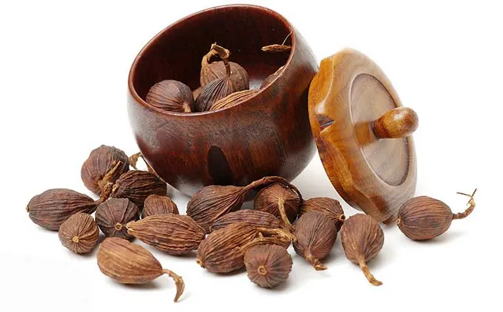 Tải Hình Ảnh Thảo Quả Thật Đa Dạng: Từ Hạt Đến Cây Cho Người Sưu Tầm Ảnh