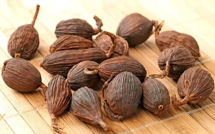 Tải Hình Ảnh Thảo Quả Thật Đa Dạng: Từ Hạt Đến Cây Cho Người Sưu Tầm Ảnh