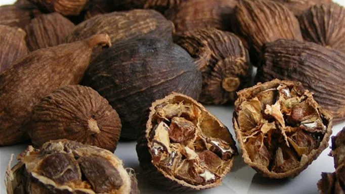 Tải Hình Ảnh Thảo Quả Thật Đa Dạng: Từ Hạt Đến Cây Cho Người Sưu Tầm Ảnh