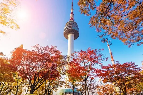 Tải Hình Ảnh Tháp Namsan Seoul Đẹp Nhất Cho Dân Du Lịch Kèm Kinh Nghiệm Chụp Tải Hình Ảnh Tháp Namsan Seoul Đẹp Nhất Cho Dân Du Lịch Kèm Kinh Nghiệm Chụp