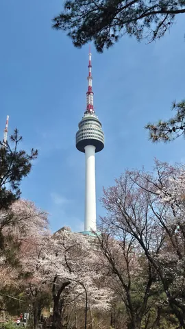 Tải Hình Ảnh Tháp Namsan Seoul Đẹp Nhất Cho Dân Du Lịch Kèm Kinh Nghiệm Chụp Tải Hình Ảnh Tháp Namsan Seoul Đẹp Nhất Cho Dân Du Lịch Kèm Kinh Nghiệm Chụp