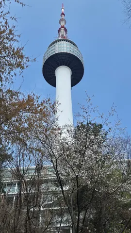 Tải Hình Ảnh Tháp Namsan Seoul Đẹp Nhất Cho Dân Du Lịch Kèm Kinh Nghiệm Chụp Tải Hình Ảnh Tháp Namsan Seoul Đẹp Nhất Cho Dân Du Lịch Kèm Kinh Nghiệm Chụp