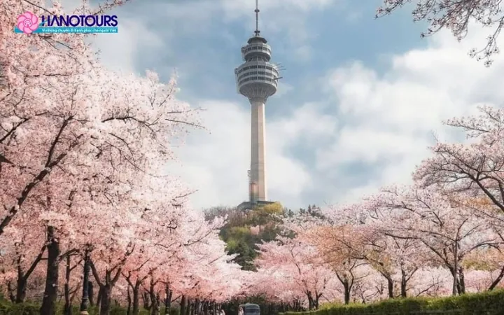Tải Hình Ảnh Tháp Namsan Seoul Đẹp Nhất Cho Dân Du Lịch Kèm Kinh Nghiệm Chụp Tải Hình Ảnh Tháp Namsan Seoul Đẹp Nhất Cho Dân Du Lịch Kèm Kinh Nghiệm Chụp