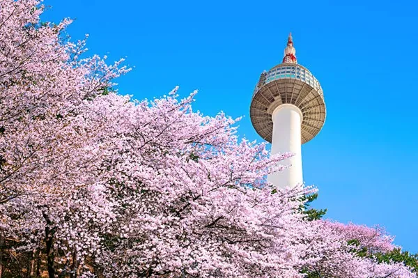 Tải Hình Ảnh Tháp Namsan Seoul Đẹp Nhất Cho Dân Du Lịch Kèm Kinh Nghiệm Chụp Tải Hình Ảnh Tháp Namsan Seoul Đẹp Nhất Cho Dân Du Lịch Kèm Kinh Nghiệm Chụp