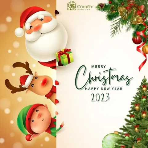 Tải Và Khám Phá Hình Ảnh Thiệp Noel Đẹp, Ý Nghĩa Dành Cho Mọi Người