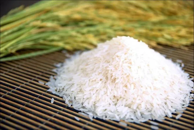 Tải Về Và Phân Loại Hình Ảnh Thóc Gạo: Cánh Đồng Lúa, Hạt Gạo Và Tranh Nghệ Thuật Cho Nhà Thiết Kế Tải Về Và Phân Loại Hình Ảnh Thóc Gạo: Cánh Đồng Lúa, Hạt Gạo Và Tranh Nghệ Thuật Cho Nhà Thiết Kế