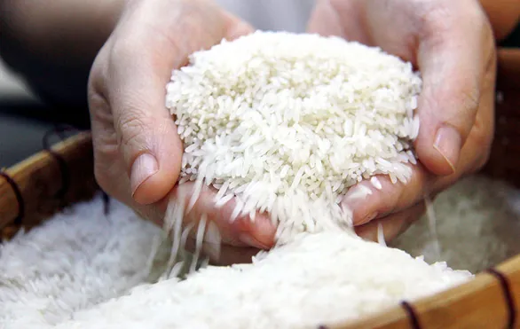 Tải Về Và Phân Loại Hình Ảnh Thóc Gạo: Cánh Đồng Lúa, Hạt Gạo Và Tranh Nghệ Thuật Cho Nhà Thiết Kế Tải Về Và Phân Loại Hình Ảnh Thóc Gạo: Cánh Đồng Lúa, Hạt Gạo Và Tranh Nghệ Thuật Cho Nhà Thiết Kế