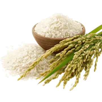 Tải Về Và Phân Loại Hình Ảnh Thóc Gạo: Cánh Đồng Lúa, Hạt Gạo Và Tranh Nghệ Thuật Cho Nhà Thiết Kế Tải Về Và Phân Loại Hình Ảnh Thóc Gạo: Cánh Đồng Lúa, Hạt Gạo Và Tranh Nghệ Thuật Cho Nhà Thiết Kế