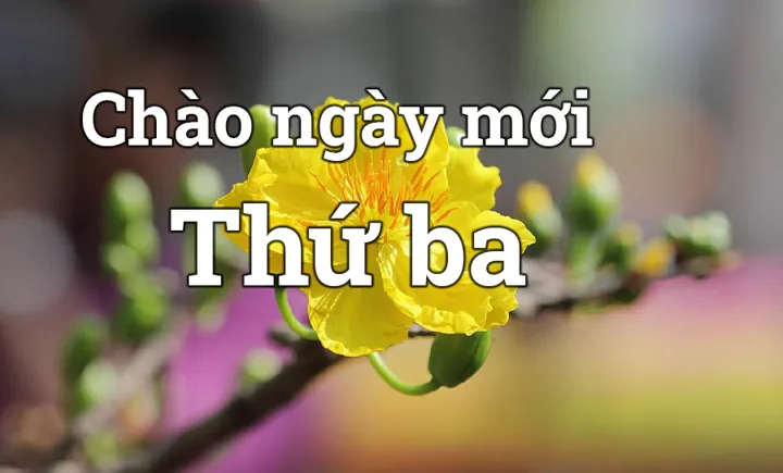 Tải Bộ Hình Ảnh Thứ Ba Đẹp Và Ý Nghĩa Cho Gia Đình Và Bạn Bè