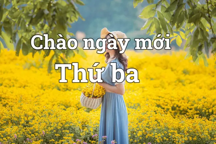 Tải Bộ Hình Ảnh Thứ Ba Đẹp Và Ý Nghĩa Cho Gia Đình Và Bạn Bè