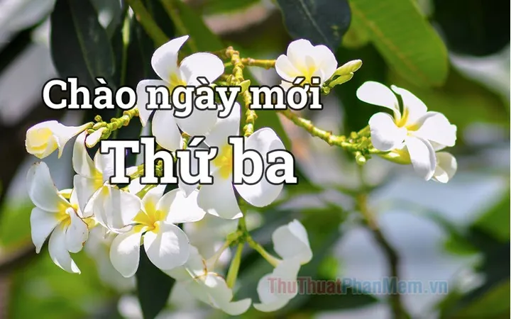 Tải Bộ Hình Ảnh Thứ Ba Đẹp Và Ý Nghĩa Cho Gia Đình Và Bạn Bè