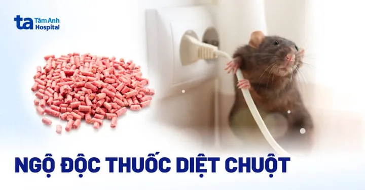 Xem Hình Ảnh Thuốc Chuột Thực Tế Và Phân Loại Theo Dạng Bả Độc Hại Cho Hộ Gia Đình Xem Hình Ảnh Thuốc Chuột Thực Tế Và Phân Loại Theo Dạng Bả Độc Hại Cho Hộ Gia Đình