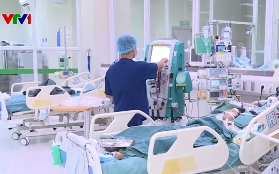 Xem Hình Ảnh Thuốc Chuột Thực Tế Và Phân Loại Theo Dạng Bả Độc Hại Cho Hộ Gia Đình Xem Hình Ảnh Thuốc Chuột Thực Tế Và Phân Loại Theo Dạng Bả Độc Hại Cho Hộ Gia Đình