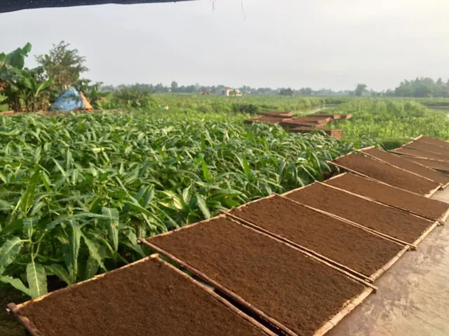 Khám Phá Hình Ảnh Thuốc Lào Đẹp Và Điếu Cày Truyền Thống Cho Người Yêu Văn Hóa Quê