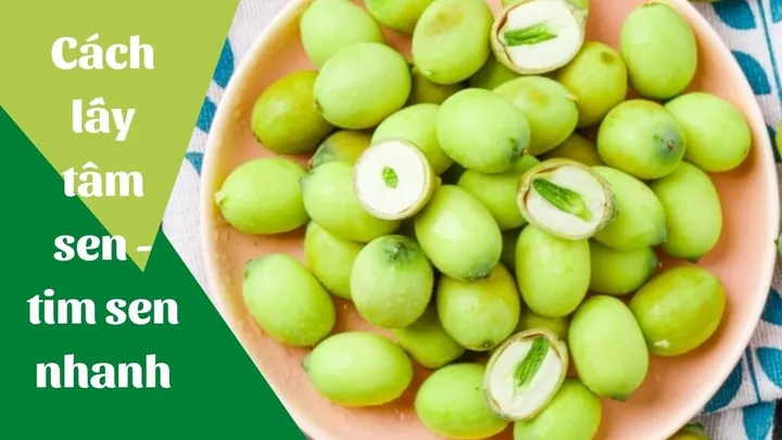 Xem Hình Ảnh Tim Sen Thực Tế Và Phân Biệt Tim Sen Với Hạt Sen Cho Người Mới Tìm Hiểu