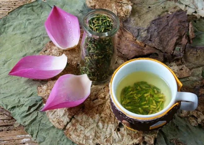 Xem Hình Ảnh Tim Sen Thực Tế Và Phân Biệt Tim Sen Với Hạt Sen Cho Người Mới Tìm Hiểu